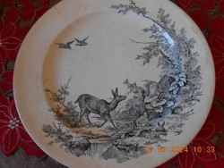 William Brownfield & Son Viktória korabeli angol fajansz tányér, 1875 III