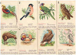 318. Birds quartet playing card factory around 1960 20 cards