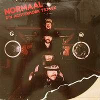 Normaal - D'n Achterhoek Tsjoek (LP, Album)
