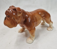Porcelán Bulldog kutya figura 9,5 x 16 cm.