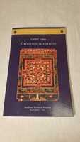Csöpel lama: healing meditation