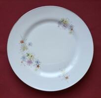 Tirschenreuth bavaria German porcelain serving bowl plate offering gold wind flower pattern