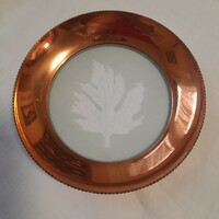 Special metal-glass bowl