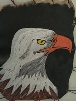 Picture of an eagle bird painted on skin