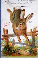 Antik litho üdvözlő képeslap  nyuszi  1905ből