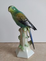 Ritka Fasold & Stauch porcelán papagáj