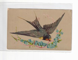H:107 antique bird greeting card 1912