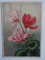 Old graphic floral postcard: cyclamen