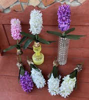 Beautiful lifelike bulbous hyacinth flower plant home decoration