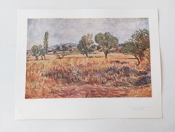 Régi nyomat 1960 művészeti papírkép tájkép