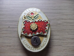Excellent Platoon Commander Badge Pin