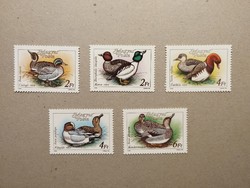 Hungarian ducks 1988