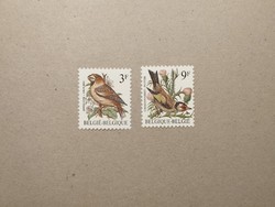 Belgium fauna, birds 1985