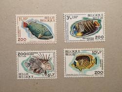 Belgium fauna, fishes 1968