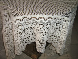 Beautiful vintage floral lace curtain