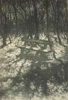 Csulak Elelmér (1887-) : Erdei magány (Pad az erdőben)