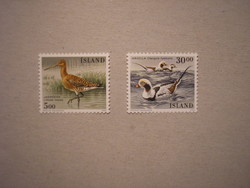 Izland-Fauna, madarak 1988
