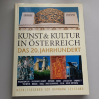 Art and culture in Austria in the xx. In the century (in German)