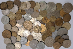 74 Yugoslavian coins (t-55)