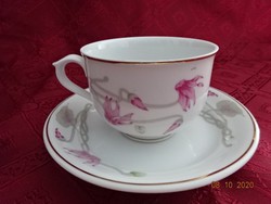 Hollóházi porcelán teáscsésze + alátét, rózsaszín virággal. Vanneki!