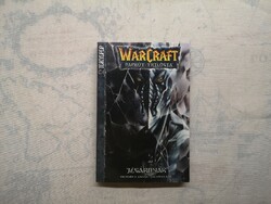 Richard A. Knaak - Jégárnyak (Warcraft: Napkút-trilógia 2.)