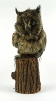 1Q762 owl bird preparation on wooden stump 30 x 35 cm
