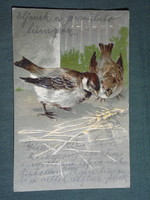 Képeslap,artist,grafikai,rajzos,vögel,madár,veréb, dombornyomott, 1905
