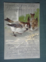 Postcard, postcard, artist, graphic, cartoon, vögel, bird, sparrow, embossed, 1905