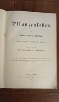 Pflanzenleben 1898
