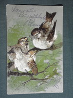 Képeslap,artist,grafikai,rajzos,vögel,madár,veréb, dombornyomott, 1908