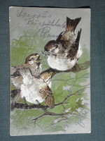 Képeslap,Postcard,artist,grafikai,rajzos,vögel,madár,veréb, dombornyomott, 1908