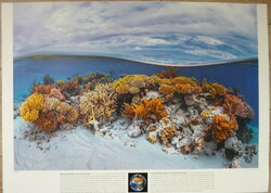 Poszter 44.: Korallzátony a Mayotte-szigetnél; Indiai-óceán (természetvédelem, fotó)