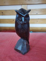 Ironwood owl