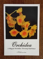Orchidea különszám