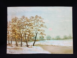 Miklós Turcsán: winter sunshine, oil, wood fiber 38 x 53 cm