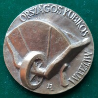 Lapis András: Országos Kubikus Múzeum, Csongrád 1974, bronz érem
