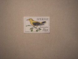 Sweden-fauna, birds, yellow thrush 2005