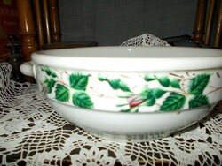 Beautiful painted porcelain bowl