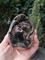 Beautiful septaria, dragon egg mineral
