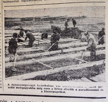 1964 április 14  /  Népszabadság  /  Újság - Magyar / Napilap. Ssz.:  27102