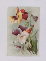 Old floral postcard with pansy. Klein