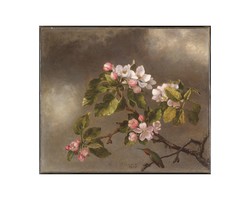 Martin Johnson Heade (1819-1904) Kolibri és almafa virágzás című 1875-ben alkotott műve, reprodukció