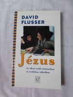 David Flusser: Jesus - in the Light of Ancient Jewish History and Literature (Past and Future Books, 1995)