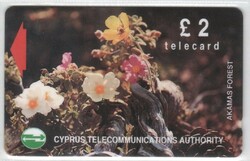 Foreign phone card 0489 Cyprus 1992