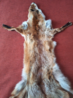 Hunter, fox fur, fox skin