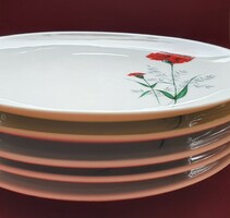 5pcs winterling röslau bavaria German porcelain small plate cookie plate with carnation flower pattern