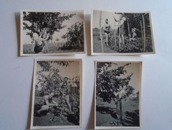 D202032   Régi fotók  Kisvelence (Velencefürdő)    1949   - 4 db fotó