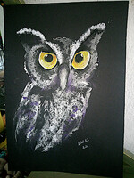 Another owl (dogs + cats pastel) 50x35cm