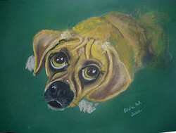 Dog grief (dogs + cats pastel) 50x35cm