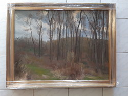 Kálmán Csabai: Cloudy Afternoon